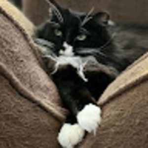 Meet your Posher, Harbour